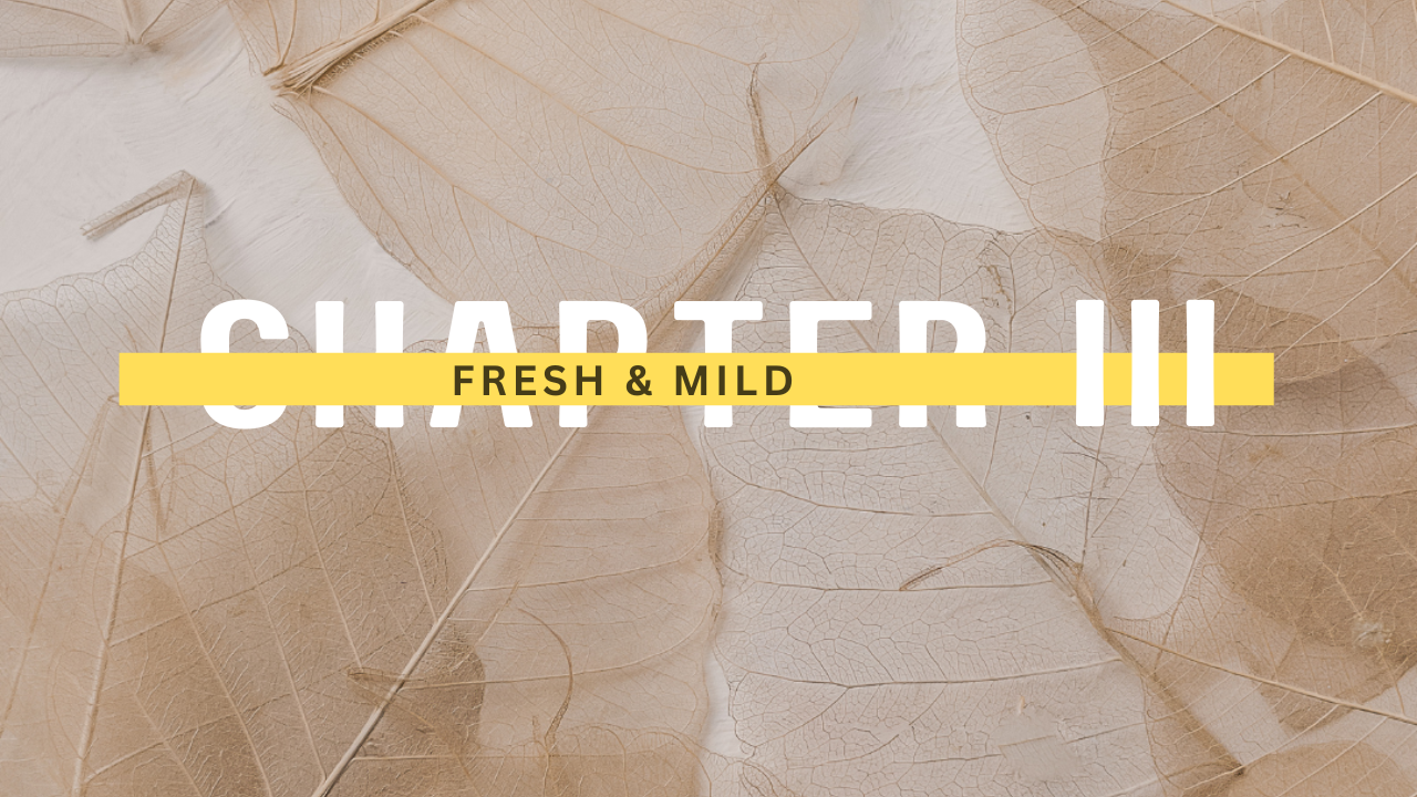 Chapter III - Fresh spices| Mild toned| Subtle